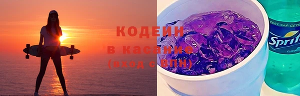 хмурый Арсеньев