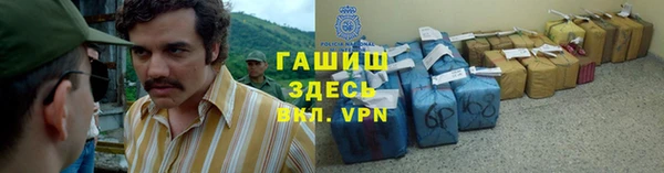 хмурый Арсеньев