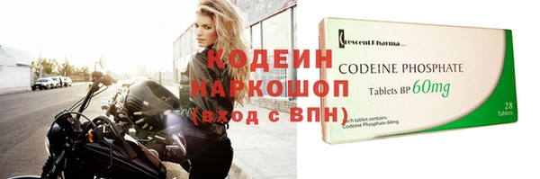 хмурый Арсеньев
