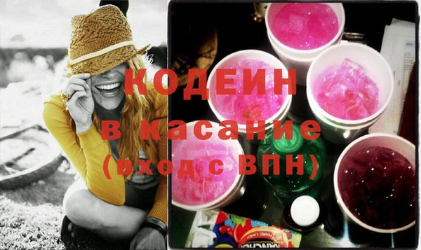 хмурый Арсеньев