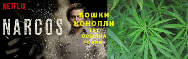 хмурый Арсеньев
