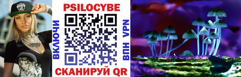 Псилоцибиновые грибы Cubensis  цены   Сосногорск 